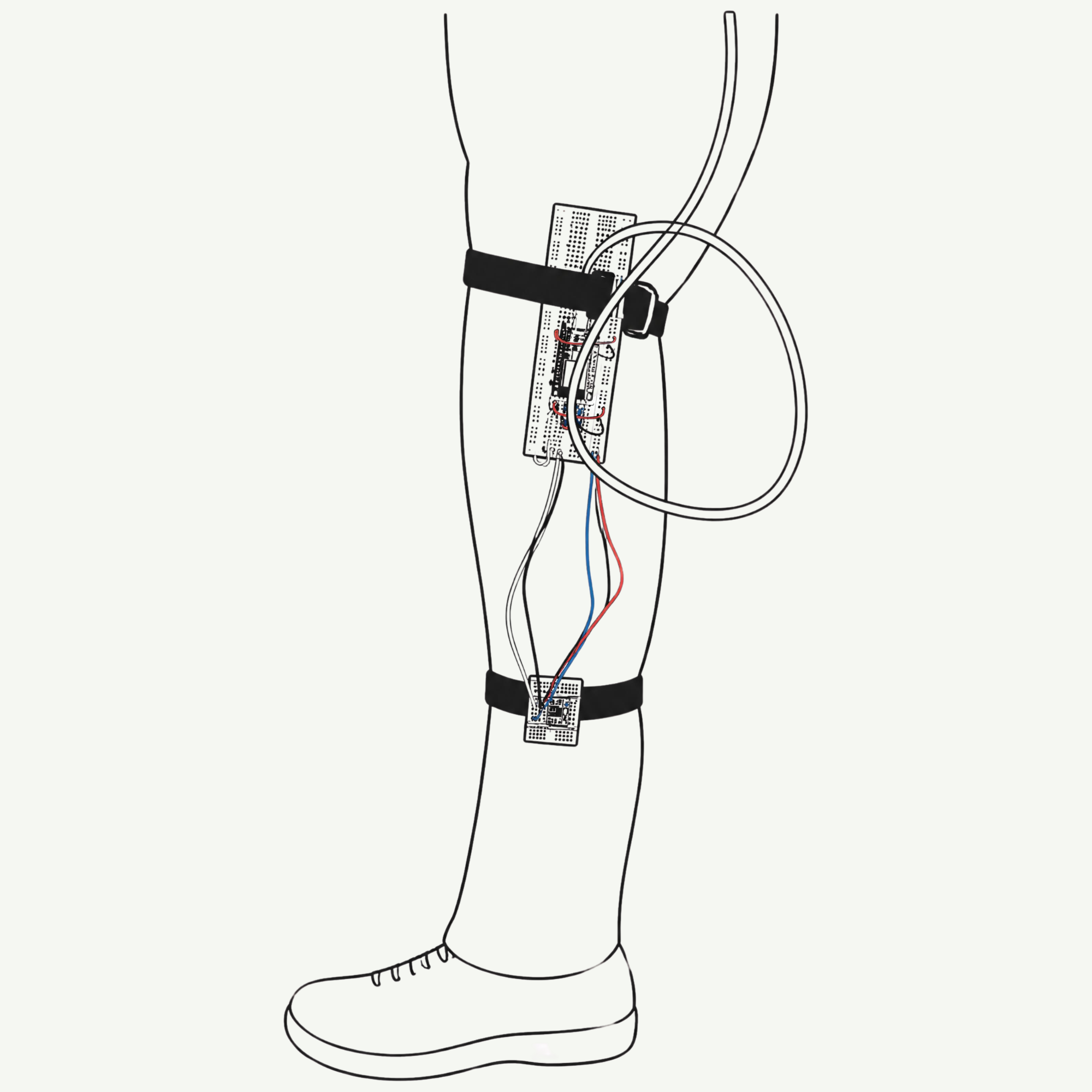 Drawing of a leg with the ESP32 and thigh sensor strapped above the knee and the shin sensor strapped below it